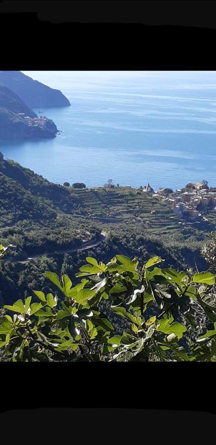 Affittacamere Il Timone Corniglia Exterior foto