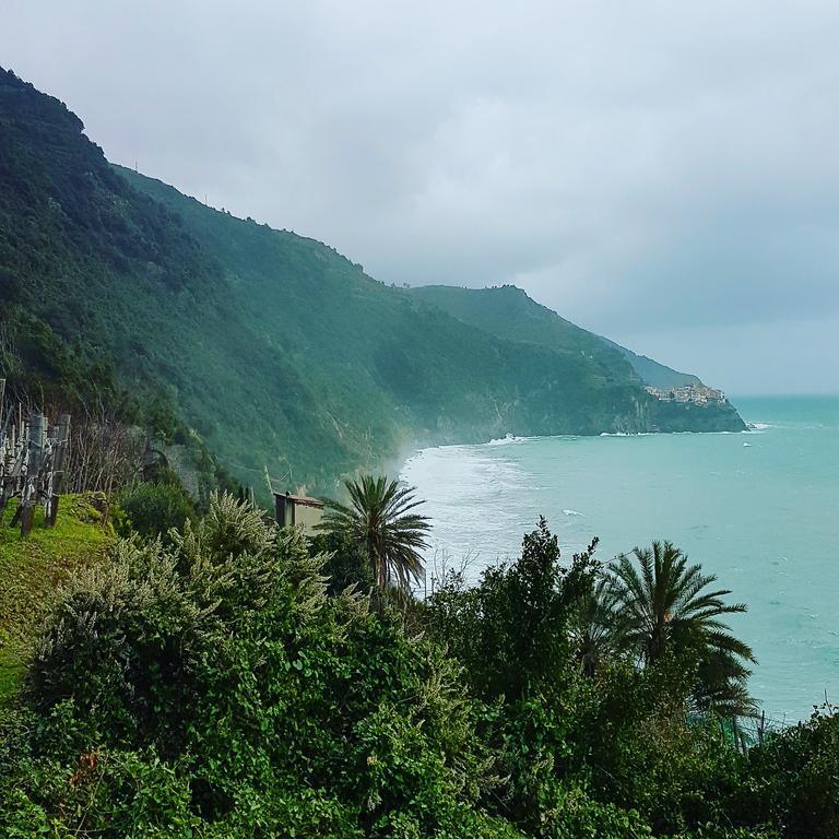 Affittacamere Il Timone Corniglia Exterior foto