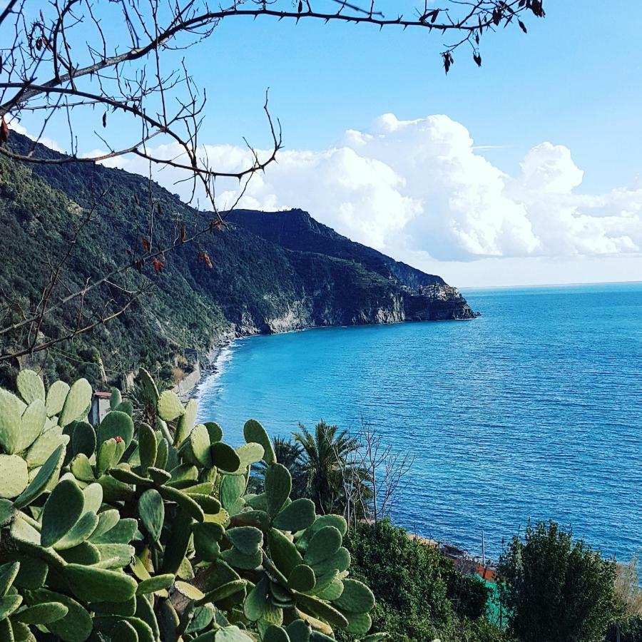 Affittacamere Il Timone Corniglia Exterior foto